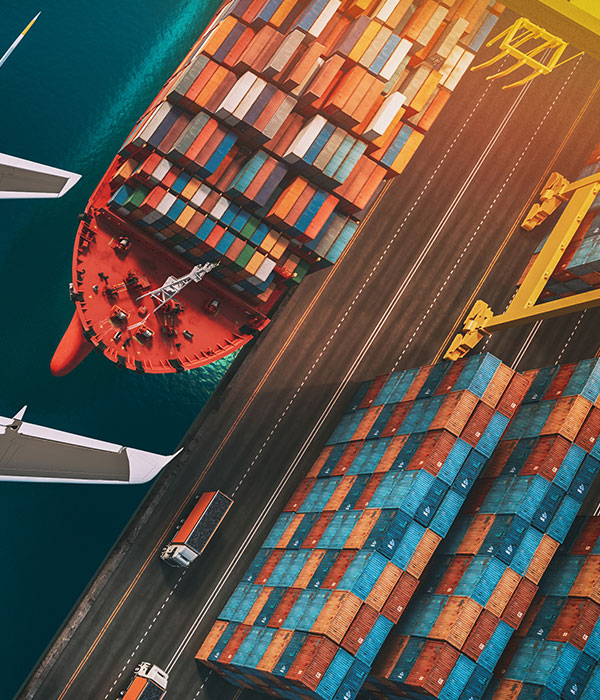 Freight coordinator reviewing an export shipping bill on ICEGATE